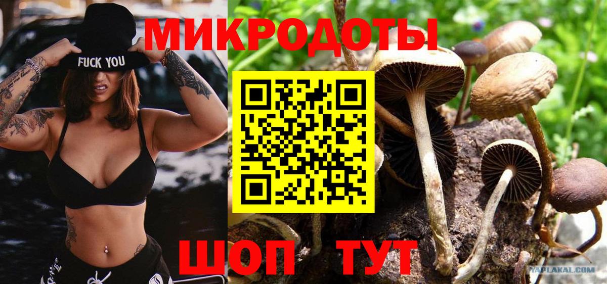 Галлюциногенные грибы мухоморы Киров