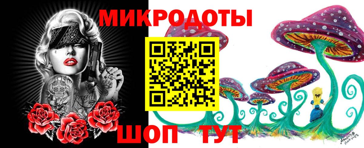 Псилоцибиновые грибы Psilocybe  Вход с VPN  Киров 